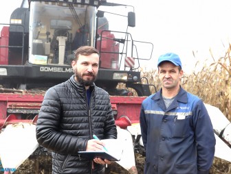 120 000 тонн зерна соберут в этом году мостовские аграрии