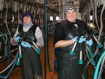 С госзаказом справились, готовят технику к постановке на хранение – как завершает аграрный год ОАО «Мостовчанка»