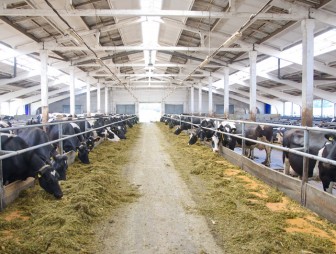 О подготовке сельскохозяйственных организаций области к зимне-стойловому содержанию скота