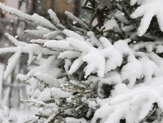 От сильного снега к морозам. Синоптики рассказали о погоде с 20 по 25 января