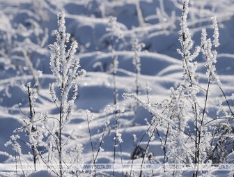 Оранжевый уровень опасности из-за снегопада и ветра объявлен в Беларуси на 21 января