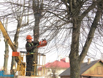 С целью оздоровления городской среды в Мостах проводится обрезка деревьев
