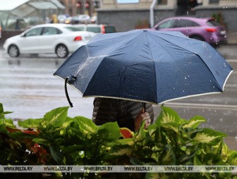 Дожди с грозами и до +24°С будет сегодня в Беларуси