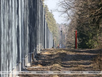Минприроды организует трансляцию обсуждения проблемы польского забора в Беловежской пуще