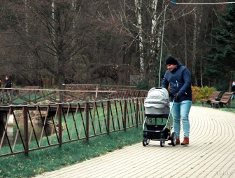 Как часто белорусские отцы уходят в отпуск по уходу за ребенком до достижения им возраста 3 лет, рассказали в Минтруда