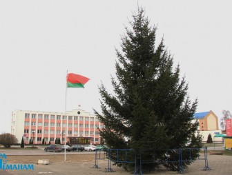 В Мостах возле районного центра культуры установили новогоднюю ёлку