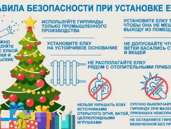 Безопасная ёлка!