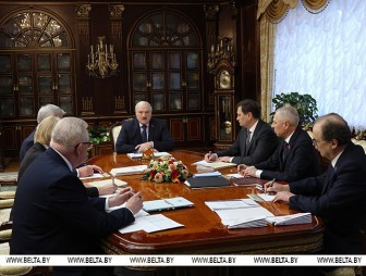 Лукашенко поручил обеспечить поддержку в переходный для белорусского парламента период