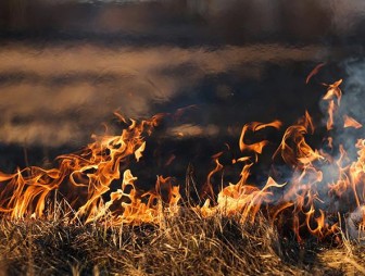 Жгла траву – сожгла постройку. В Принеманье за минувшие выходные произошло 13 возгораний сухой травы