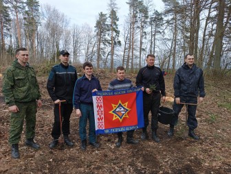 Спасатели Мостовского районного отдела по ЧС присоединились к акции «Неделя леса – 2024»