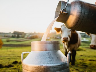 Насколько выросло производство молока в Мостовском районе