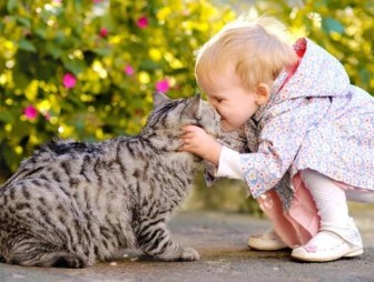 Домашние любимцы – источники микроспории!