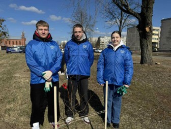 Радеющие за чистоту и порядок: мостовский волонтёрский отряд стал призёром республиканского конкурса