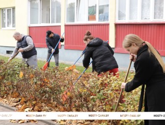 Активисты Молодёжного парламента и БРСМ Мостовщины присоединились к акции «Чистый двор – комфортная жизнь»