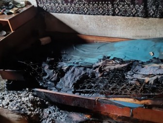 Пожар в деревне Логновичи