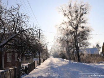 Остались лишь поле и звенящая тишина: судьба Милевичских хуторов в Мостовском районе, сожженных фашистами