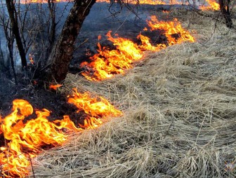 Наводим порядок безопасно