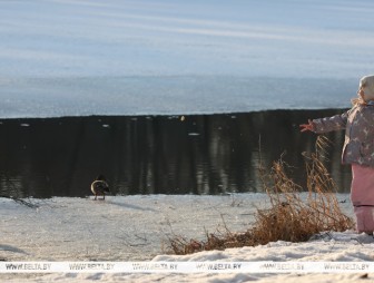 Ждать ли белорусам осадков 3 марта, ответили синоптики