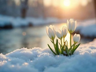 Что меняется в Беларуси с 1 марта 2026 года