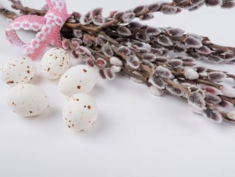 Пасхальная верба: где взять, как украшать и можно ли выбрасывать