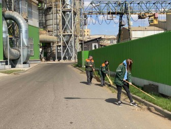 За дело взялся «Мостовдрев». Деревообработчики трудятся на республиканском субботнике