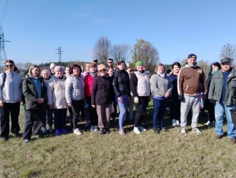 Работники сферы культуры присоединились к субботнику и организованно приняли участие в очистке территорий от мусора и листвы