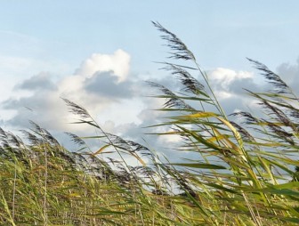 Предупреждение о неблагоприятном метеорологическом явлении!