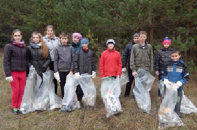 Пастараліся юныя лесаводы