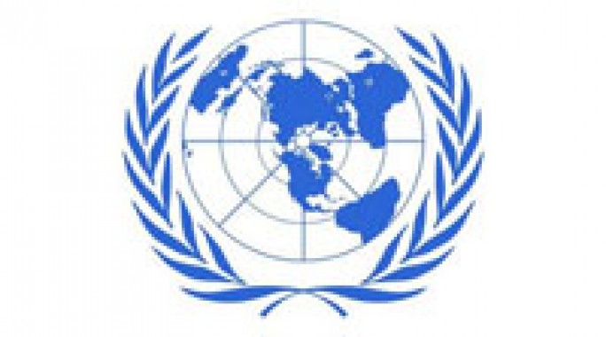 Представитель Беларуси возглавила рабочую группу ООН по нарушениям прав женщин