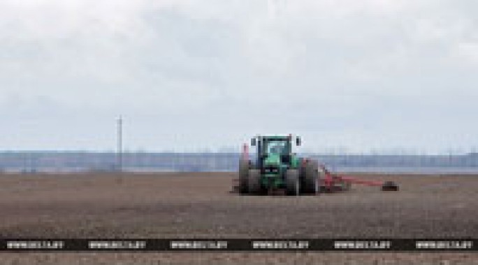 Массовый сев зерновых в Беларуси планируют начать со следующей недели