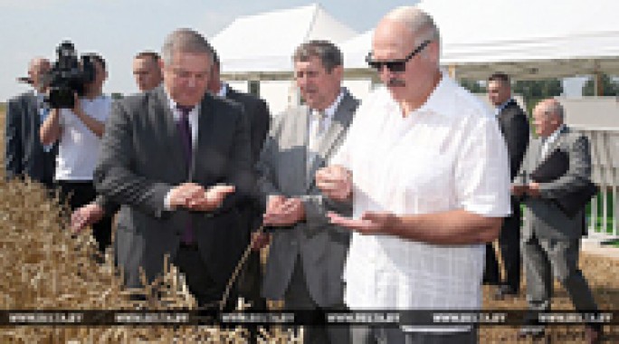 Лукашенко о грамотных руководителях фермерских хозяйств: 'Дайте сотню революционеров, и мы перевернем Беларусь'