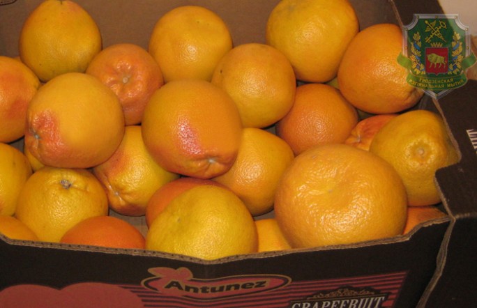 Около трех тонн грейпфрутов, сокрытых от   таможенного контроля, изъято гродненскими таможенниками