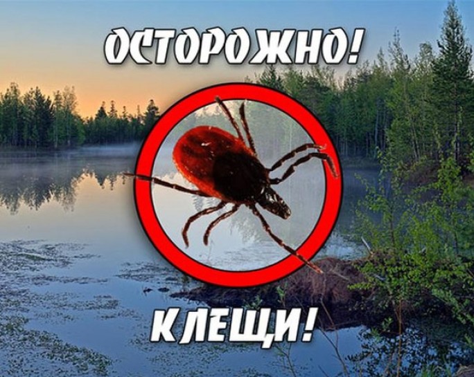 Осторожно, клещи