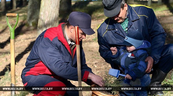 Неделя леса пройдет в Беларуси с 1 по 8 апреля