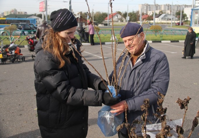 На Гродненщине в субботу пройдет «Бярозавы фэст»: будут сок, садовый инвентарь, семена и привлекательные цены!