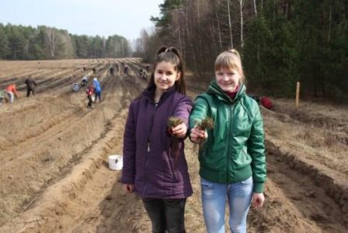 В Беларуси стартовала добровольная акция 'Неделя леса'