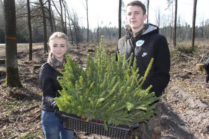 Гродненщина активно включилась в традиционную добровольную акцию «Неделя леса»