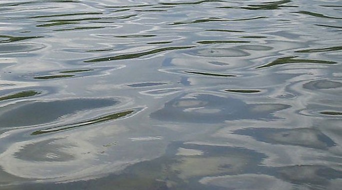 Два человека утонули в водоемах Гродненской области за минувшие выходные