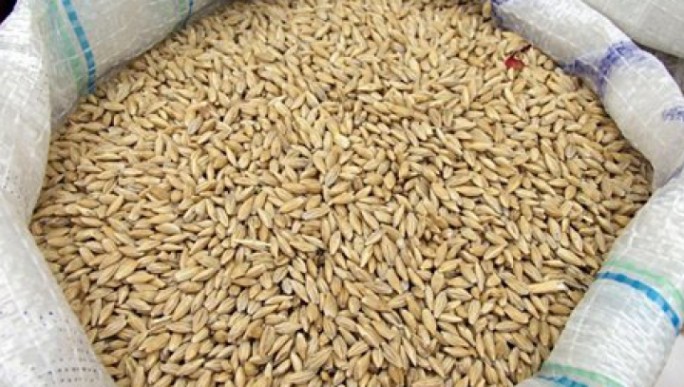 Для приусадебного хозяйства: зерно и сено продаёт 'Мостовчанка'