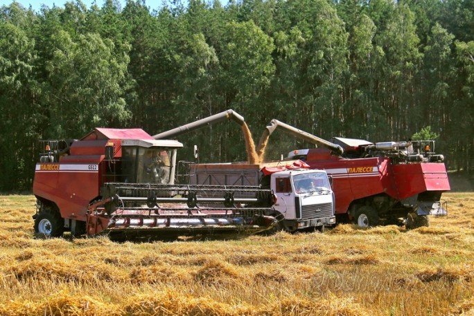 В Гродненской области убрано почти 60 процентов площадей зерновых и зернобобовых культур