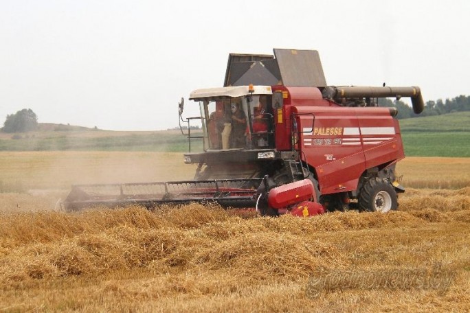 Гродненщина в лидерах по урожайности. Массовая уборка зерновых завершается в Беларуси