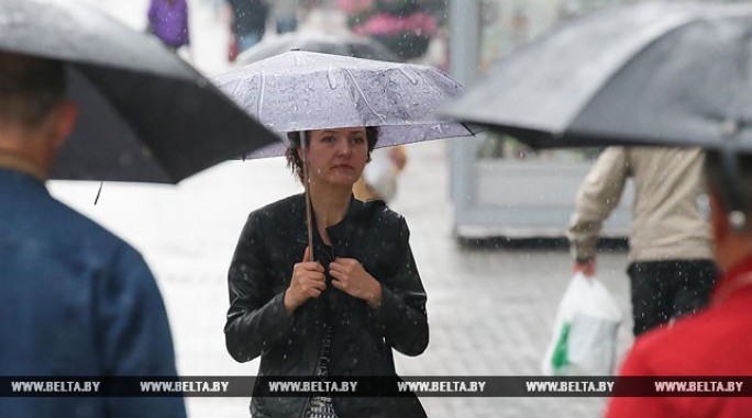 До 26 градусов тепла ожидается в Беларуси 3 сентября, по западу грозы