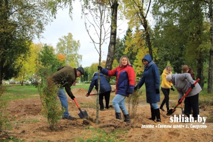 В Гродненской области к акции 'Чистый лес' присоединились около 4 тысяч человек