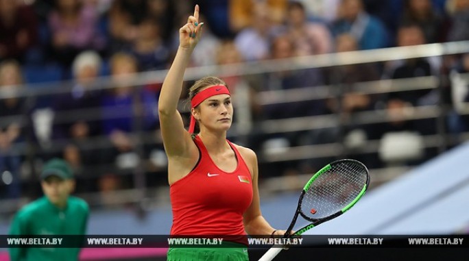 Арина Соболенко победила Слоан Стивенс и сравняла счет в финале FedCup-2017 - 1:1