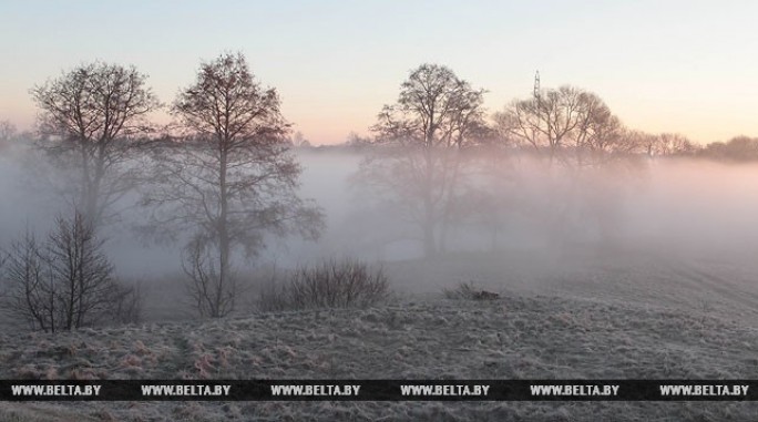 Туман и гололед прогнозируются в Беларуси 24 ноября