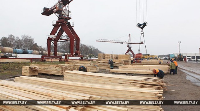 Крупная австрийская компания может построить в Гродненской области деревообрабатывающий завод