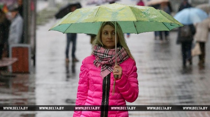 Дожди и до плюс 8 градусов ожидается по западу Беларуси 26 ноября