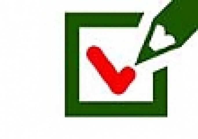 Инфографика: Выборы в местные Советы депутатов