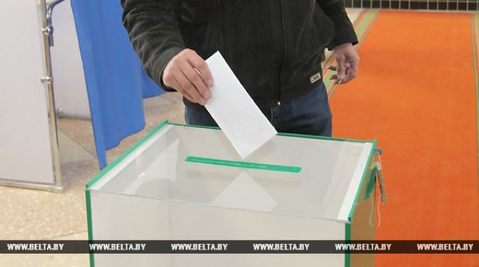 Ермошина констатирует возросшую активность политических партий на первых этапах местных выборов