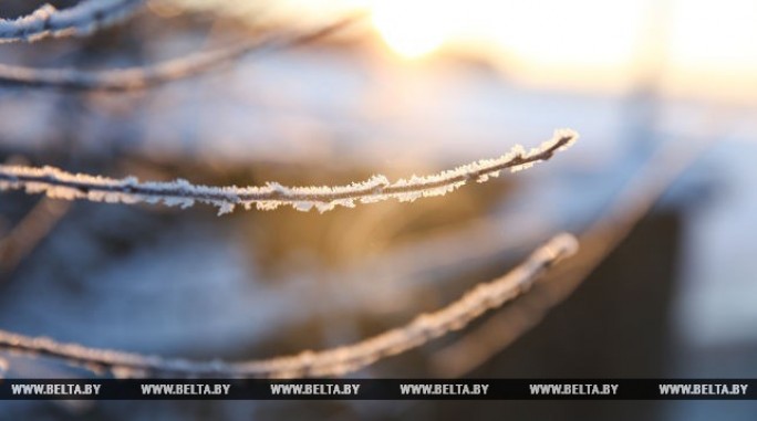 Мокрый снег, гололед и туман прогнозируются в Беларуси 17 декабря